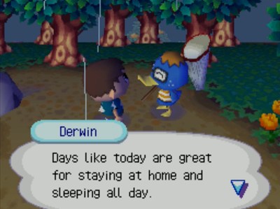 Derwin: Days like today are great for staying at home and sleeping all day.