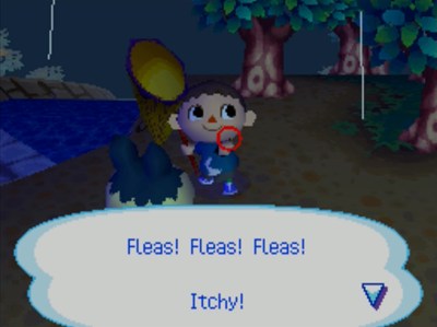 Fleas! Fleas! Fleas! Itchy!