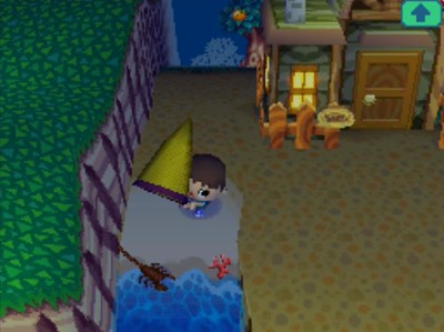 Catching a scorpion near the sea.