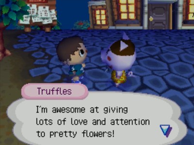 Truffles: I'm awesome at giving lots of love and attention to pretty flowers!