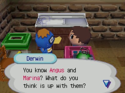 Derwin: You know Angus and Marina? What do you think is up with them?