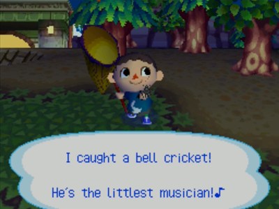 I caught a bell cricket! He's the littlest musician!