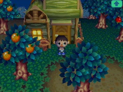 Jeff wishes on a shooting star in Animal Crossing: Wild World (ACWW) for Nintendo DS.