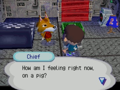Chief: How am I feeling right now, on a pig?