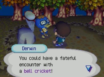 Derwin: You could have a fateful encounter with a bell cricket!