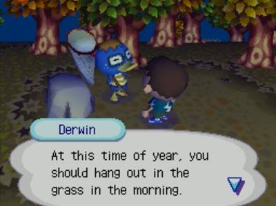 Derwin: At this time of year, you should hang out in the grass in the morning.