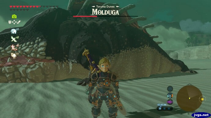 Fighting a Molduga in BOTW.