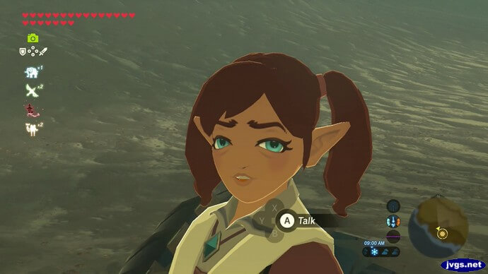 A close-up look at Loone's face in The Legend of Zelda: Breath of the Wild.