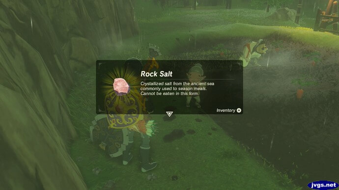 Link receives rock salt as a reward for completing a side quest.