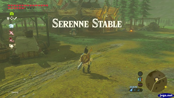 Link arrives at Serenne Stable