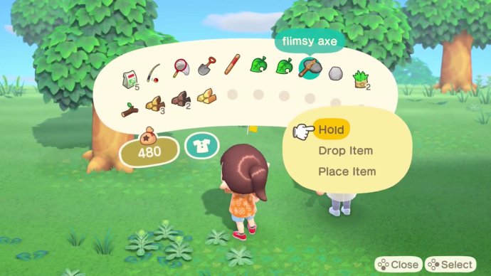 The inventory/pocket window in Animal Crossing: New Horizons.