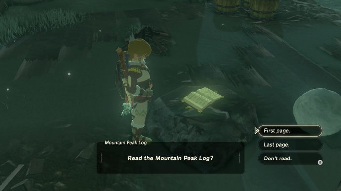 Read the Mountain Peak Log?