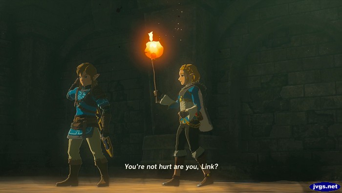Zelda: You're not hurt are you, Link?
