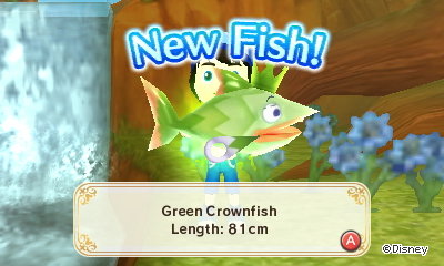 New Fish! Green Crownfish. Length: 81cm.