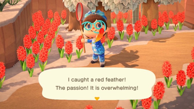 I caught a red feather! The passion! It is overwhelming!