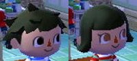 Animal Crossing New Leaf Hair Guide (English)