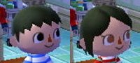 Featured image of post Shampoodle Hairstyles New Leaf Maybe even special hair colors