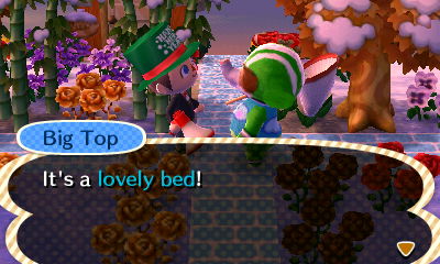 Big Top: It's a lovely bed!
