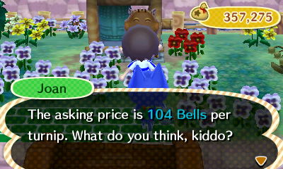 Joan: The asking price is 104 bells per turnip. What do you think, kiddo?