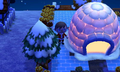 New Leaf igloo