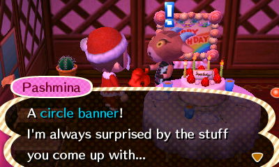 Pashmina's birthday present