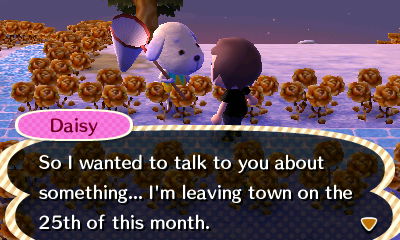 Daisy wants to move out. ACNL