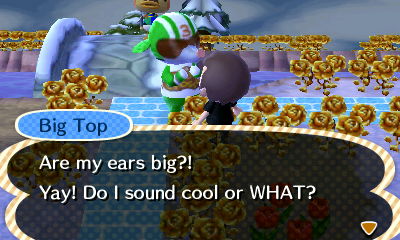 Big Top asks if his ears are big. ACNL