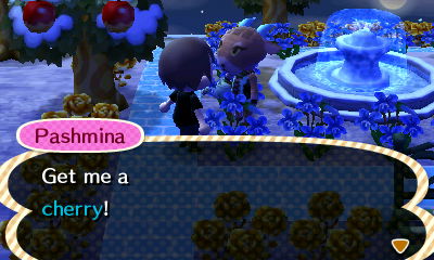 Pashmina demands a cherry.