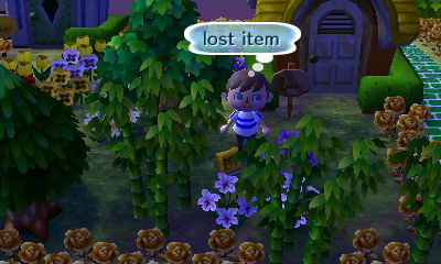 A lost item on the ground amongst the bamboo.