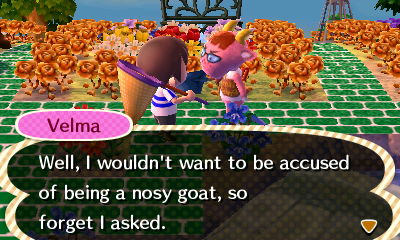 Velma: I wouldn't want to be accused of being a nosy goat, so forget I asked.