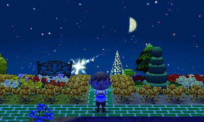 Wishing on a shooting star.