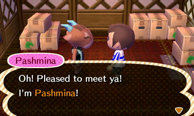 Pashmina: Pleased to meet ya! I'm Pashmina!