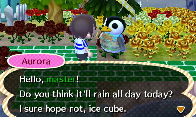 Aurora: Do you think it'll rain all day today? I sure hope not, ice cube.