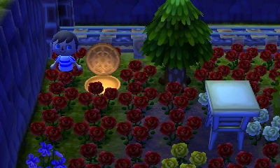 Resetti's open manhole.