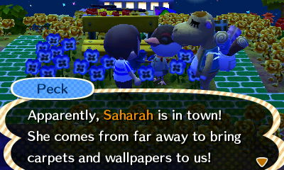 Peck: Apparently, Saharah is in town! She comes from far away to bring carpets and wallpapers!
