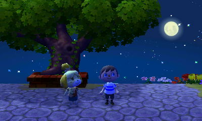 The full harvest moon in the sky.