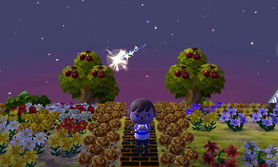 Wishing on a shooting star.