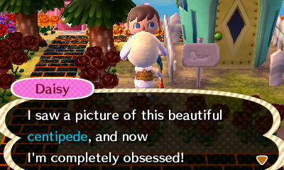 Daisy: I saw a picture of this beautiful centipede, and now I'm completely obsessed!