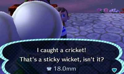 I caught a cricket! That's a sticky wicket, isn't it?