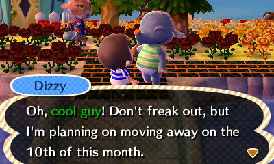 Dizzy: Don't freak out, but I'm planning on moving away on the 10th of this month.