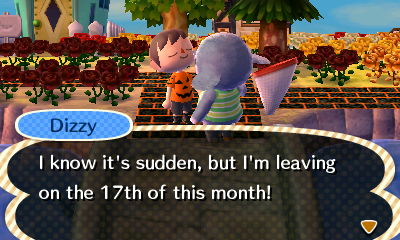 Dizzy: I know it's sudden, but I'm leaving on the 17th of this month!