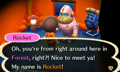 Rocket: Oh, you're from here in Forest? Nice to meet ya! My name is Rocket!