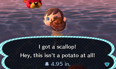 I got a scallop! Hey, this isn't a potato at all!