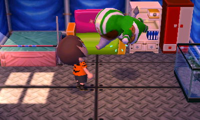 Big Top flips for his medicine.