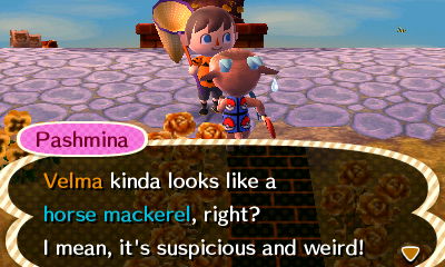 Pashmina: Velma kinda looks like a horse mackerel, right? I mean, it's suspicious and weird!