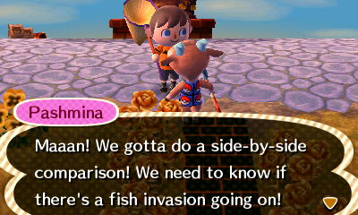 Pashmina: We gotta do a side-by-side comparison! We need to know if there's a fish invasion!