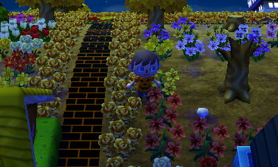 A mushroom on the ground.