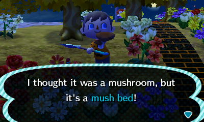 I thought it was a mushroom, but it's a mush bed!