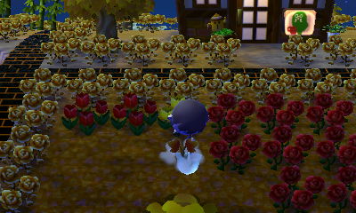 Re-planting perfect peach trees.