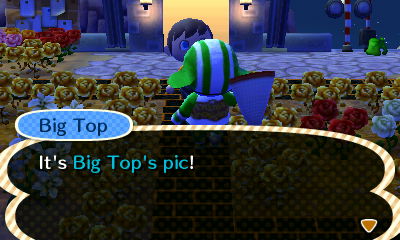 Big Top: It's Big Top's pic!